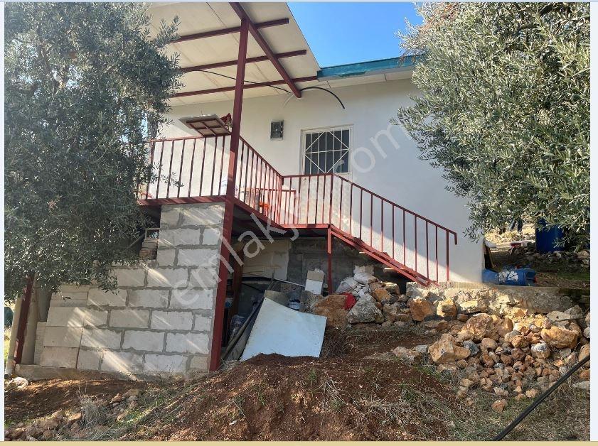Master Realtor Nilvest'ten Narlıdere'de Evi Olan Zeytin Bahçesi - Görsel 13
