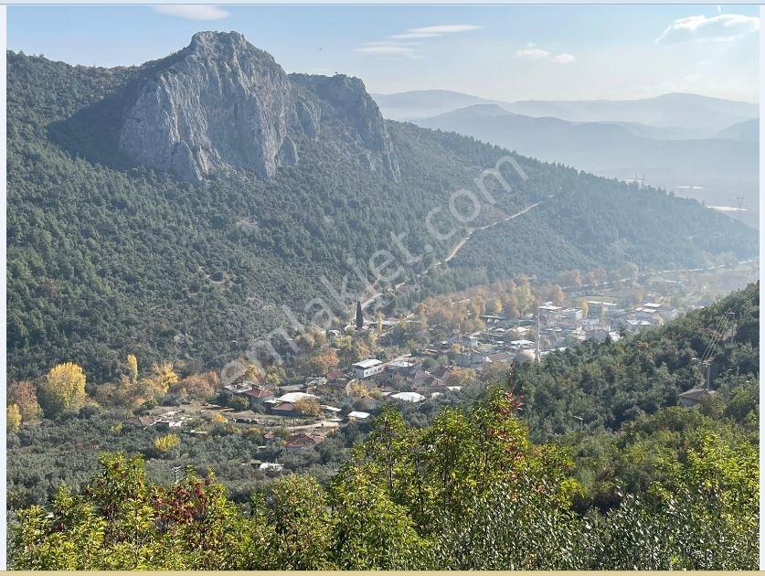 Master Realtor Nilvest'ten Narlıdere'de Evi Olan Zeytin Bahçesi - Görsel 17