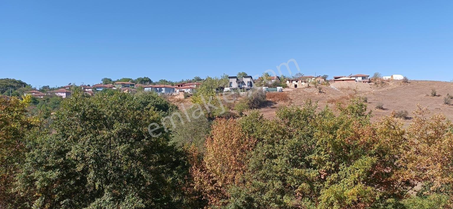 Söğütde Tarla Fiyatına Arsa - Görsel 17
