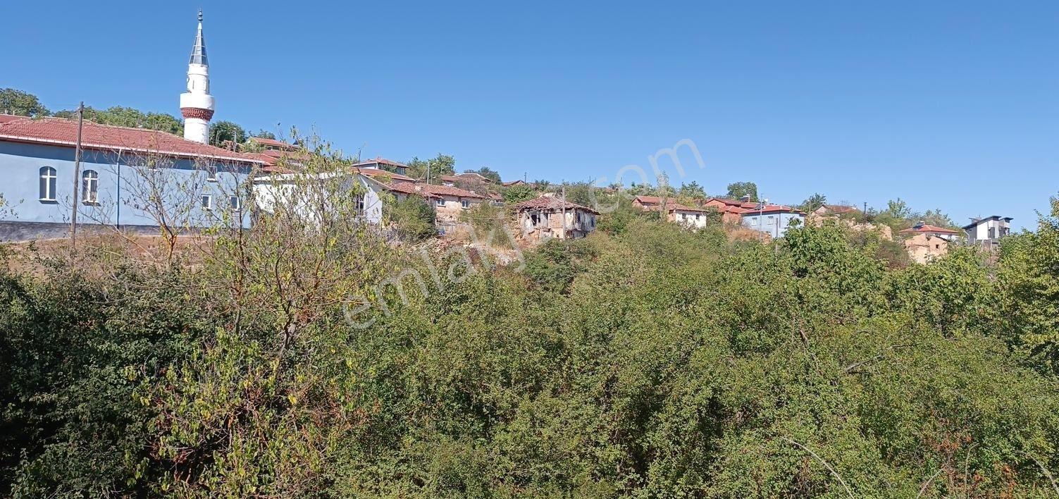 Söğütde Tarla Fiyatına Arsa - Görsel 15