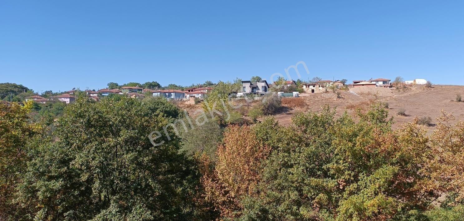 Söğütde Tarla Fiyatına Arsa - Görsel 23