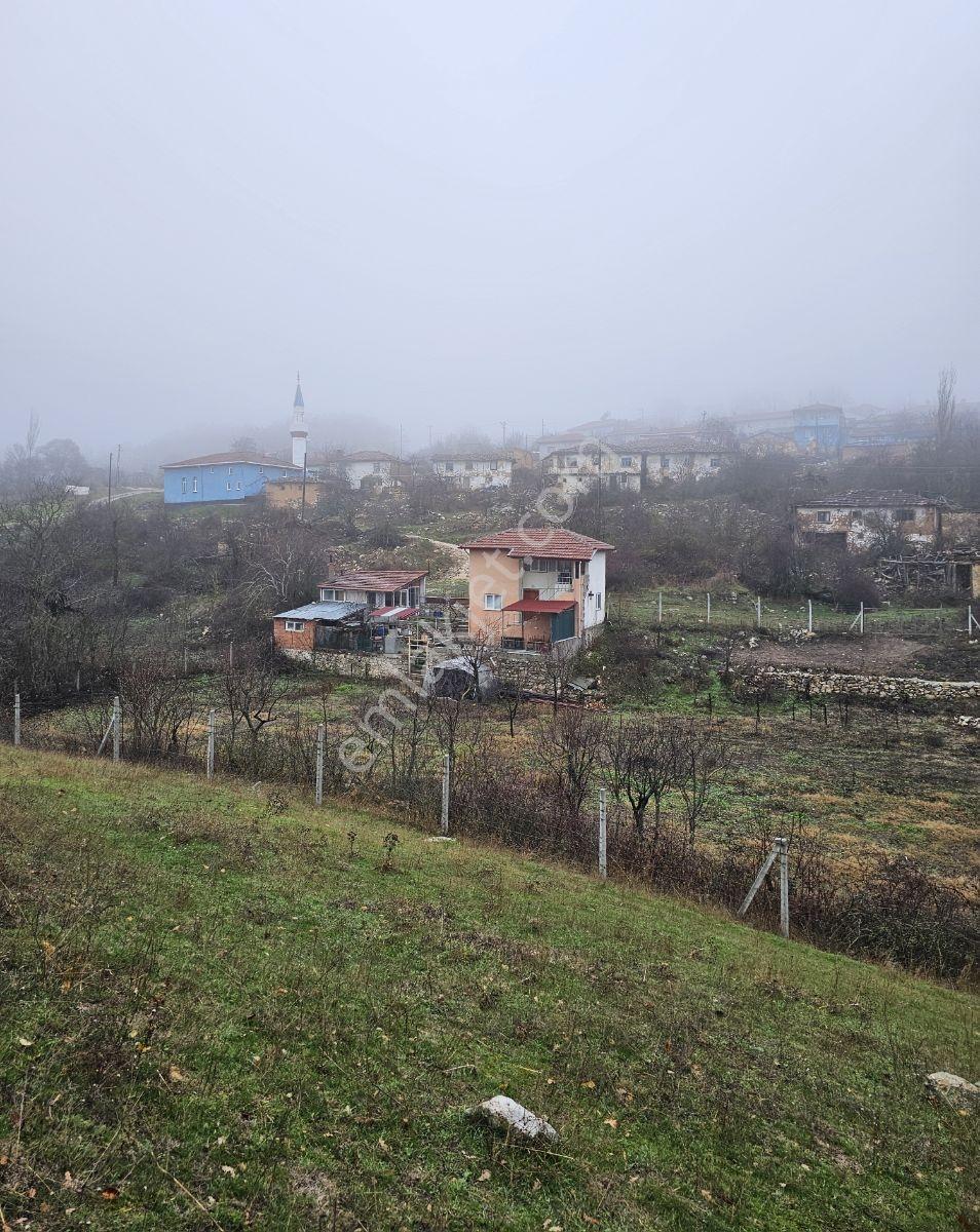 Söğütde Tarla Fiyatına Arsa - Görsel 26
