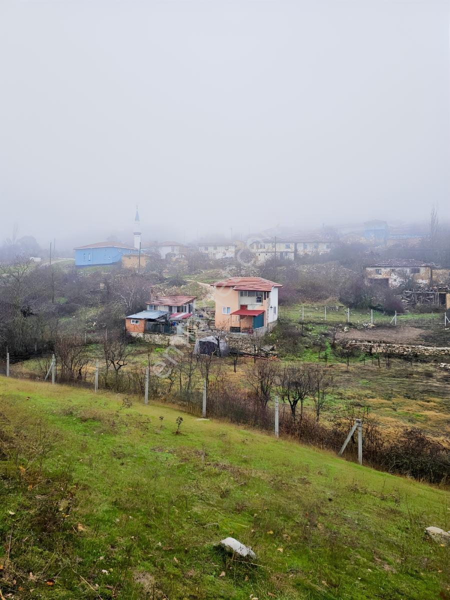 Söğütde Tarla Fiyatına Arsa - Görsel 25
