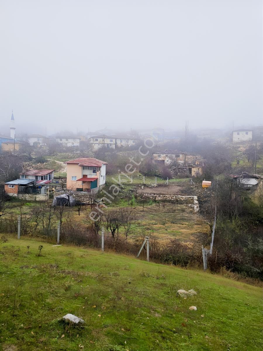 Söğütde Tarla Fiyatına Arsa