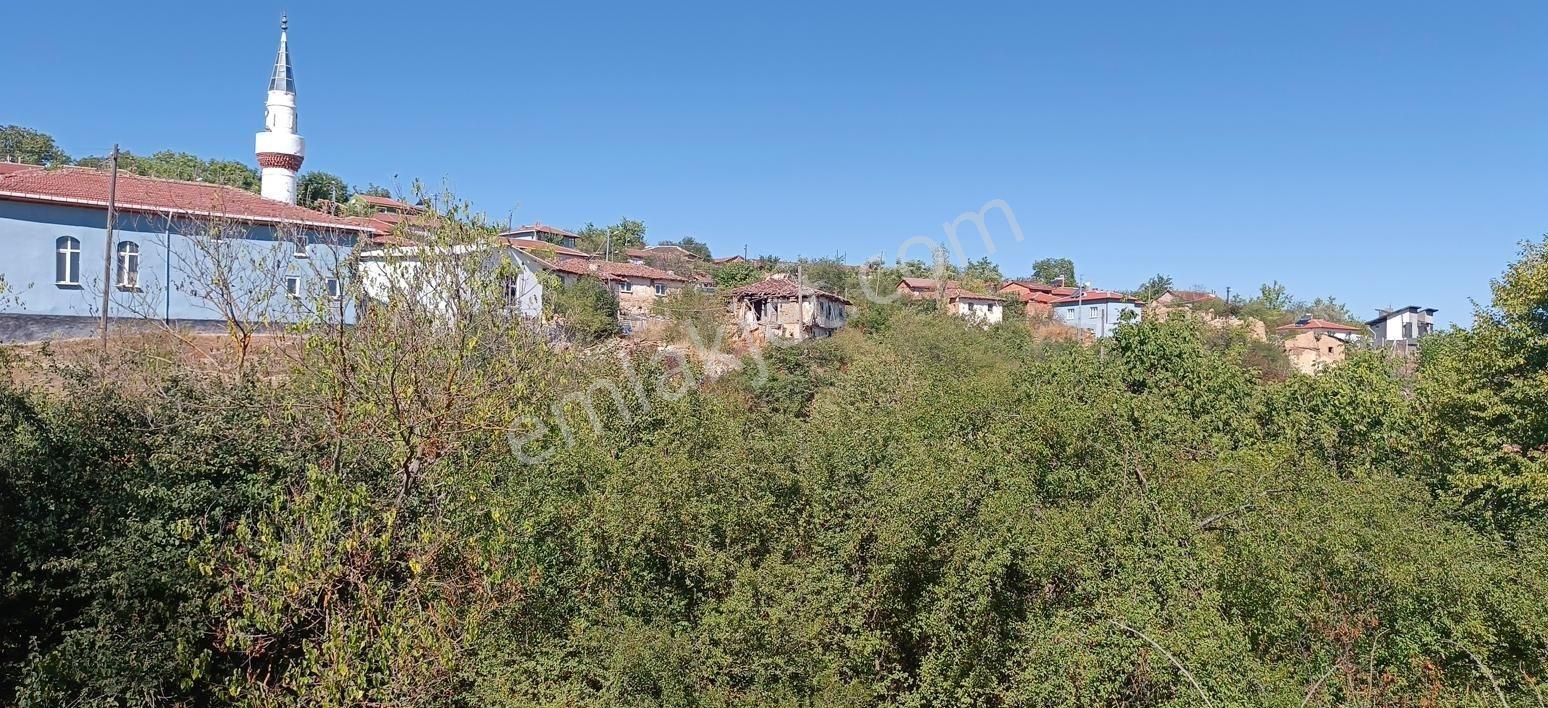 Söğütde Tarla Fiyatına Arsa - Görsel 9