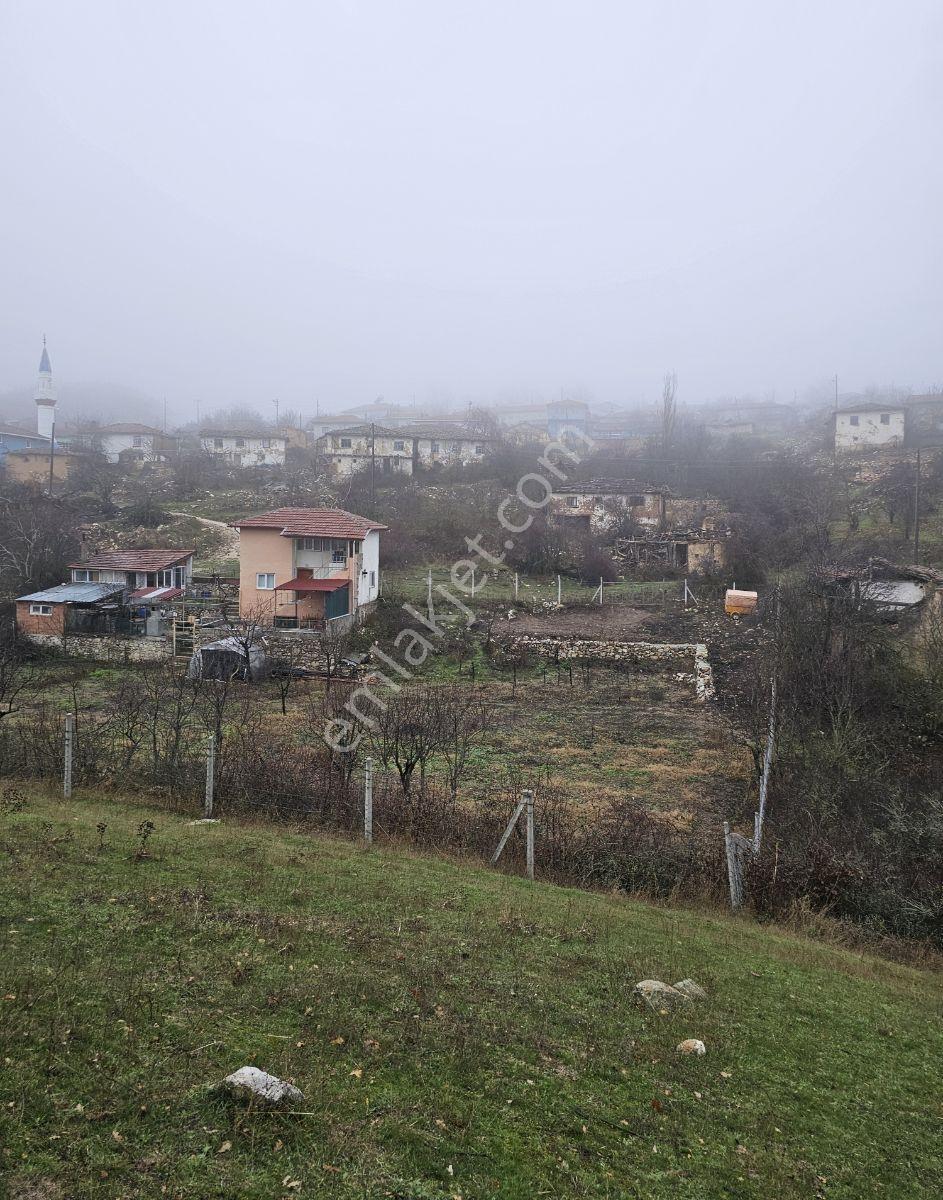 Söğütde Tarla Fiyatına Arsa - Görsel 20