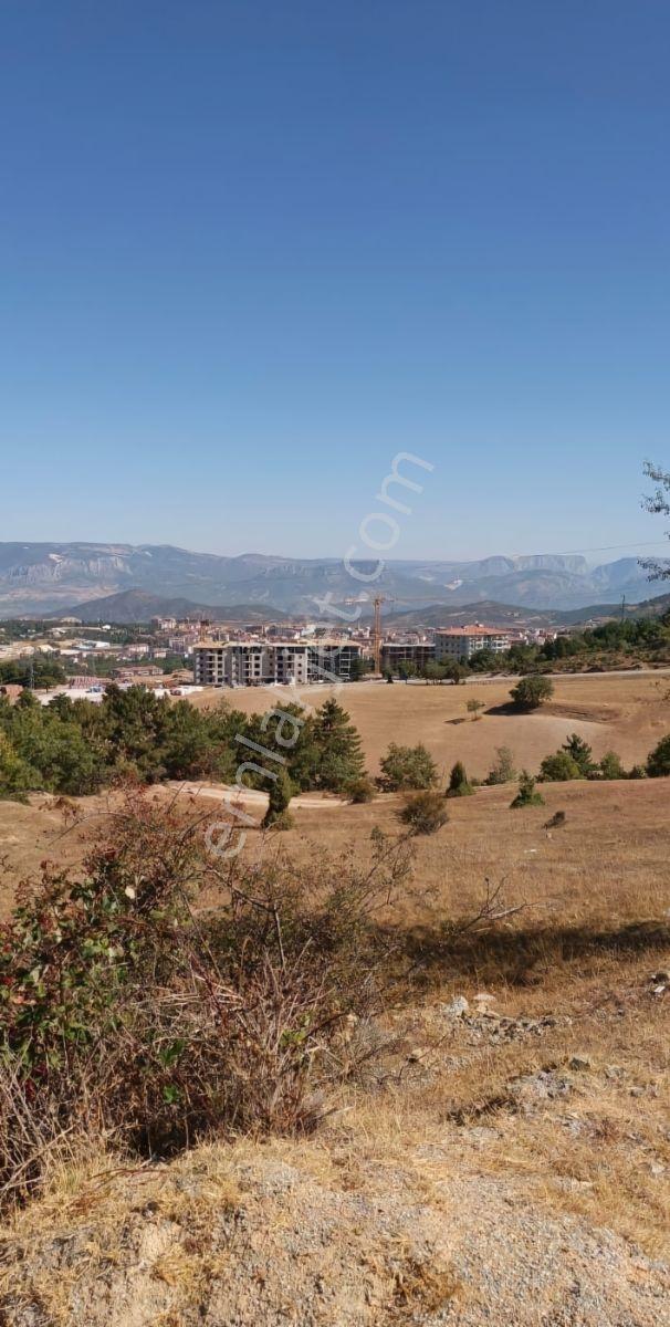 Söğütde Tarla Fiyatına Arsa - Görsel 12