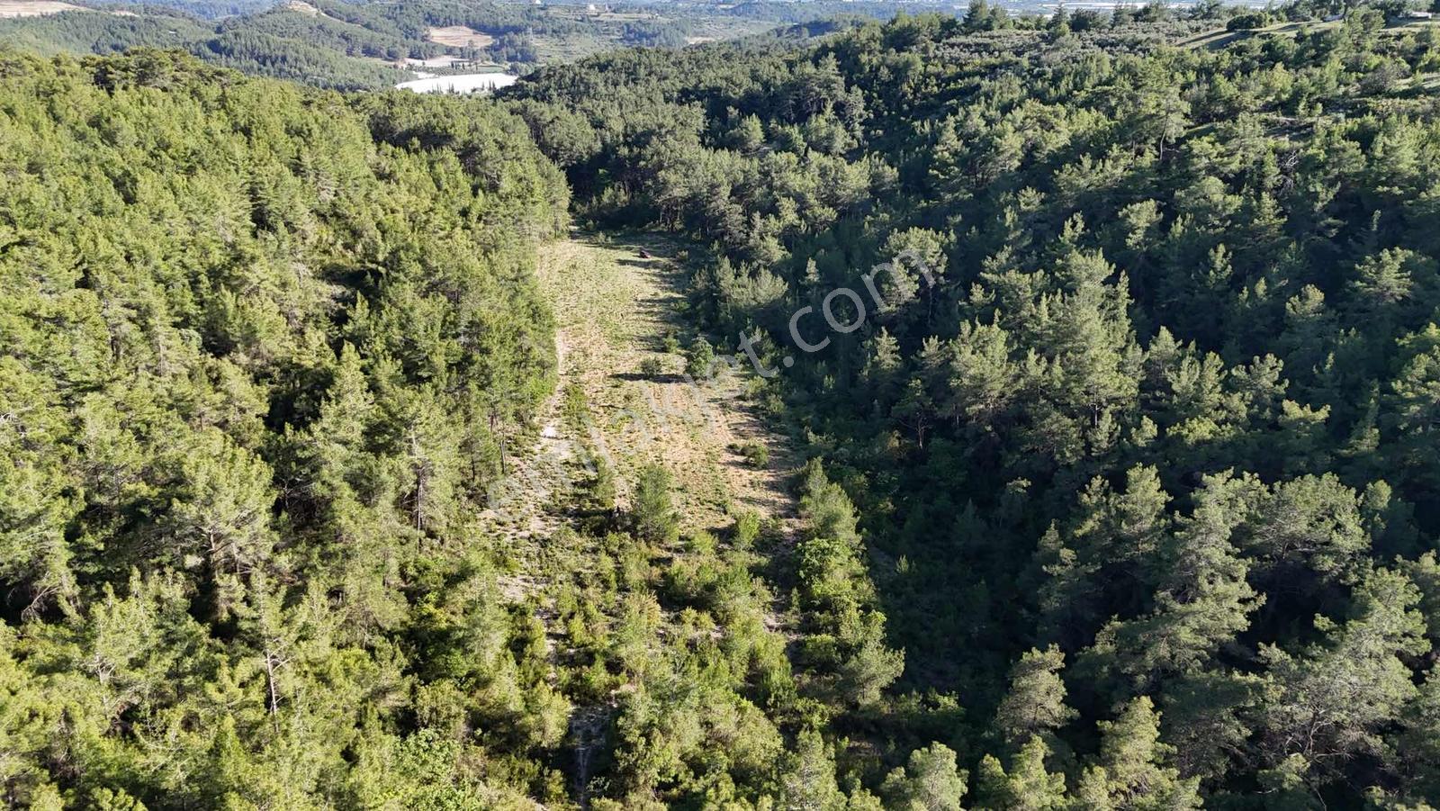 İnfo Manavgat Uzunkalede Yatırımlık Ve Yaşamlık Dev Parsel - Görsel 17