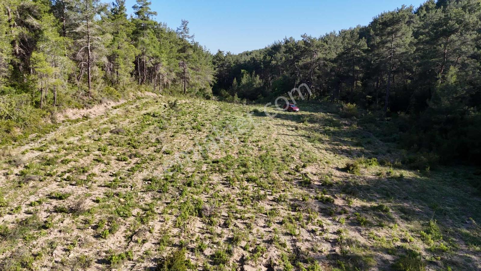 İnfo Manavgat Uzunkalede Yatırımlık Ve Yaşamlık Dev Parsel - Görsel 21