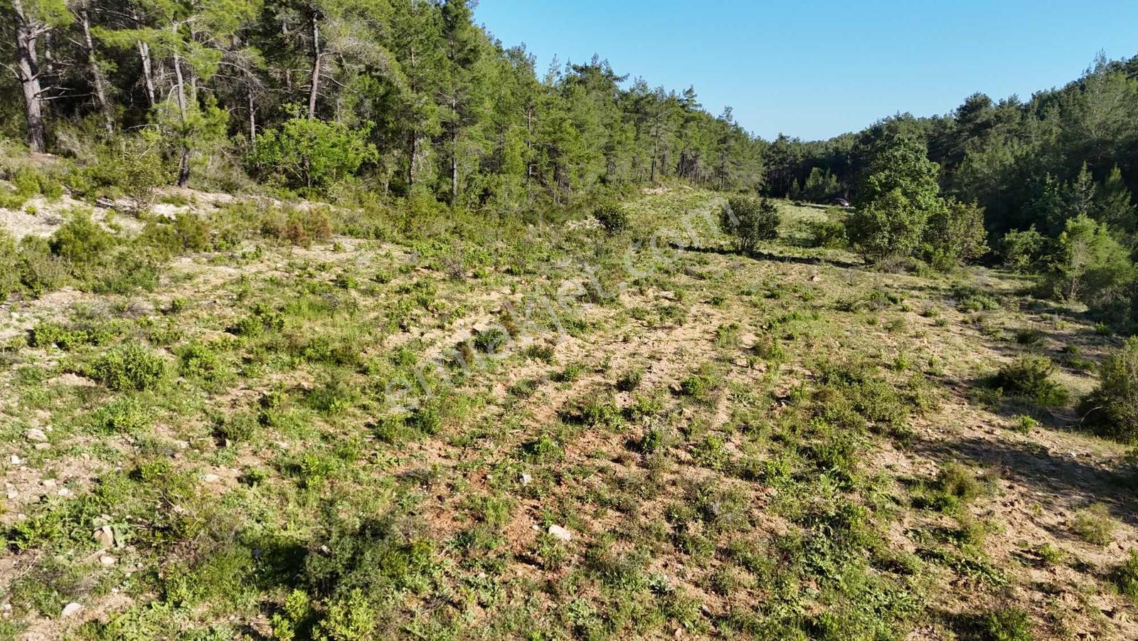 İnfo Manavgat Uzunkalede Yatırımlık Ve Yaşamlık Dev Parsel - Görsel 5
