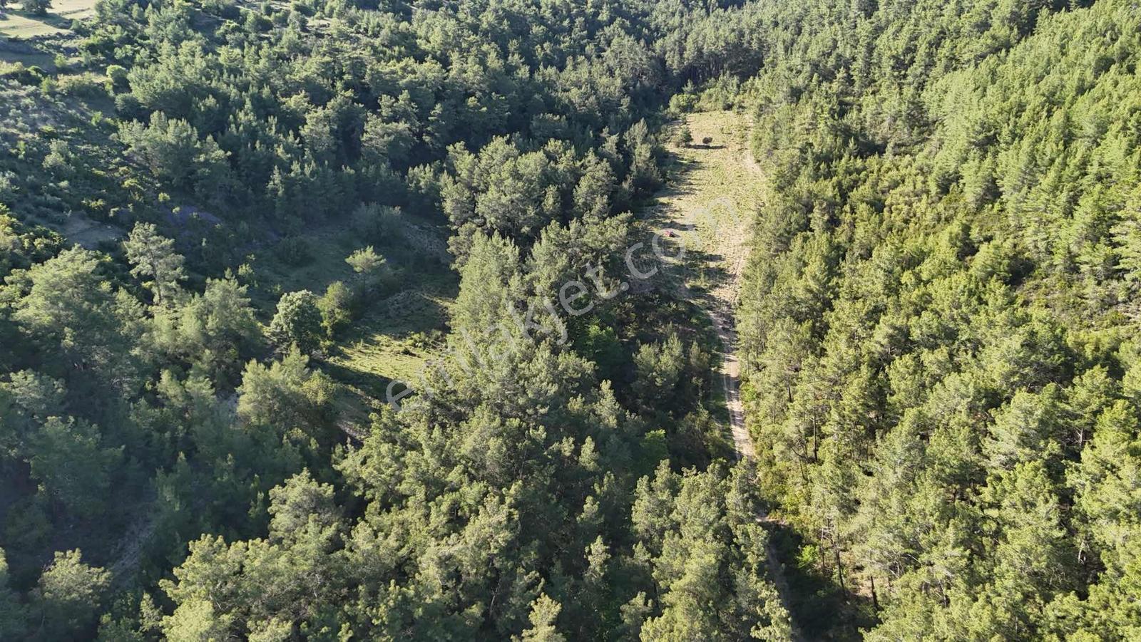 İnfo Manavgat Uzunkalede Yatırımlık Ve Yaşamlık Dev Parsel - Görsel 22