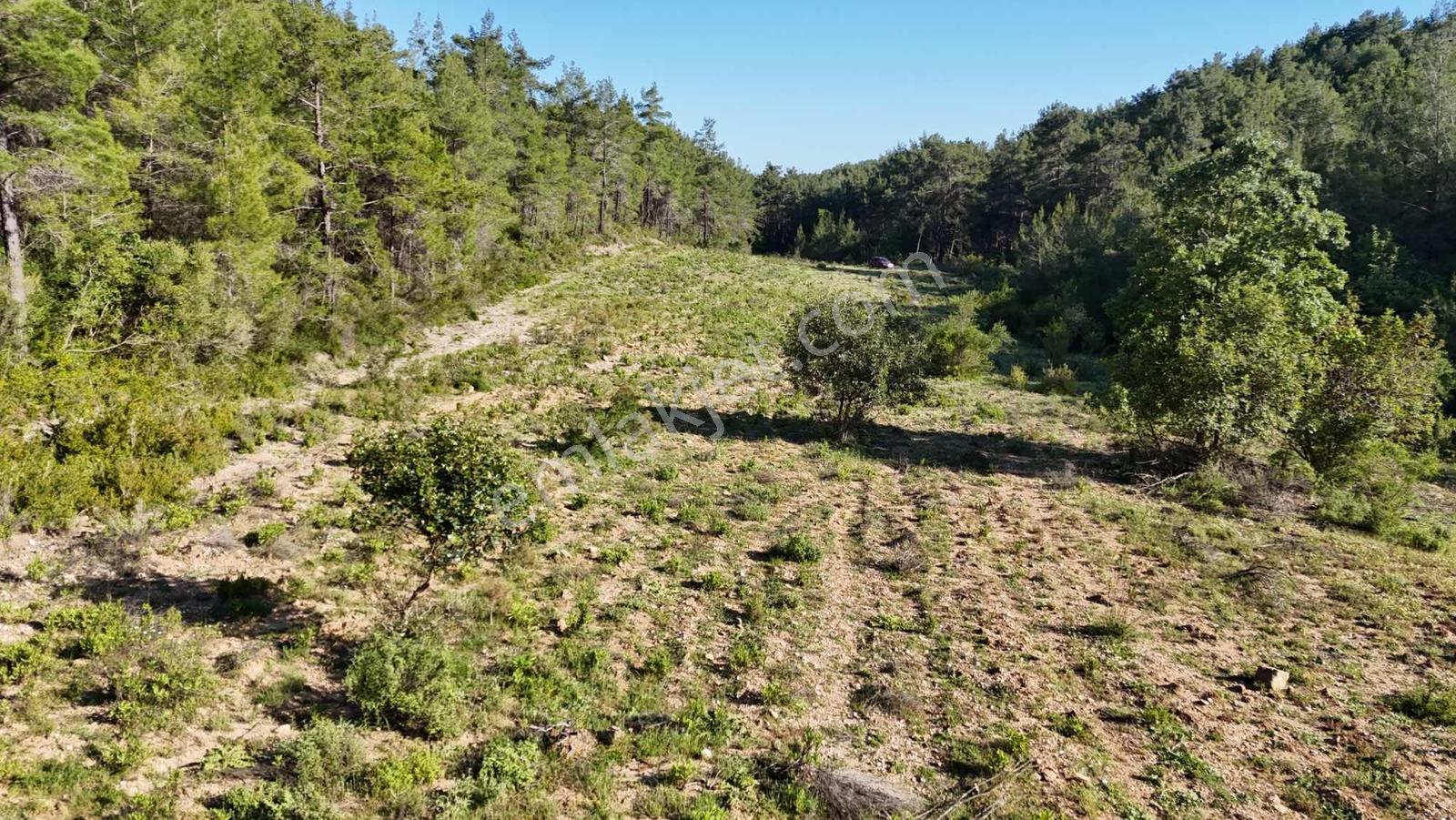 İnfo Manavgat Uzunkalede Yatırımlık Ve Yaşamlık Dev Parsel - Görsel 16
