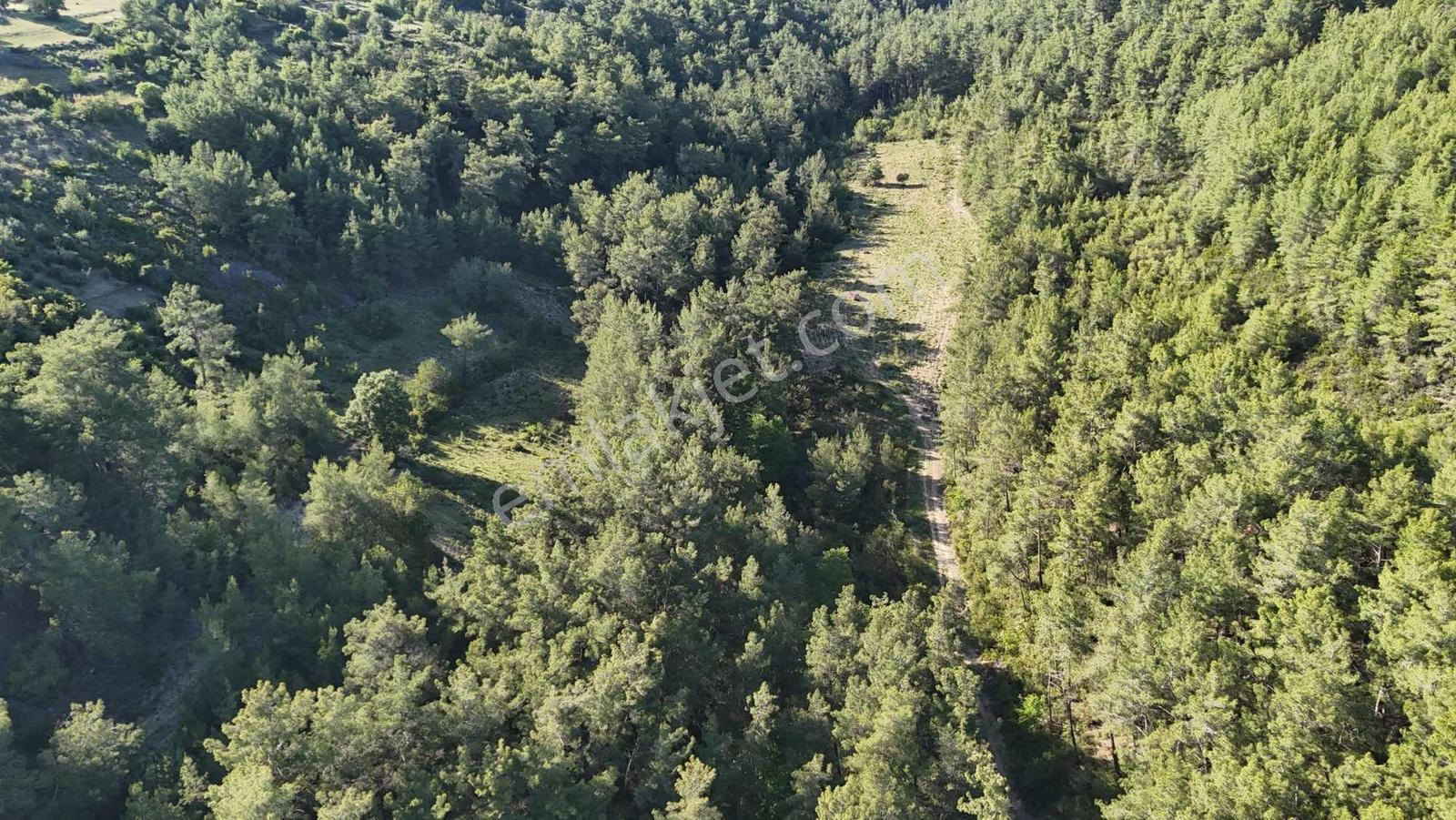 İnfo Manavgat Uzunkalede Yatırımlık Ve Yaşamlık Dev Parsel - Görsel 7