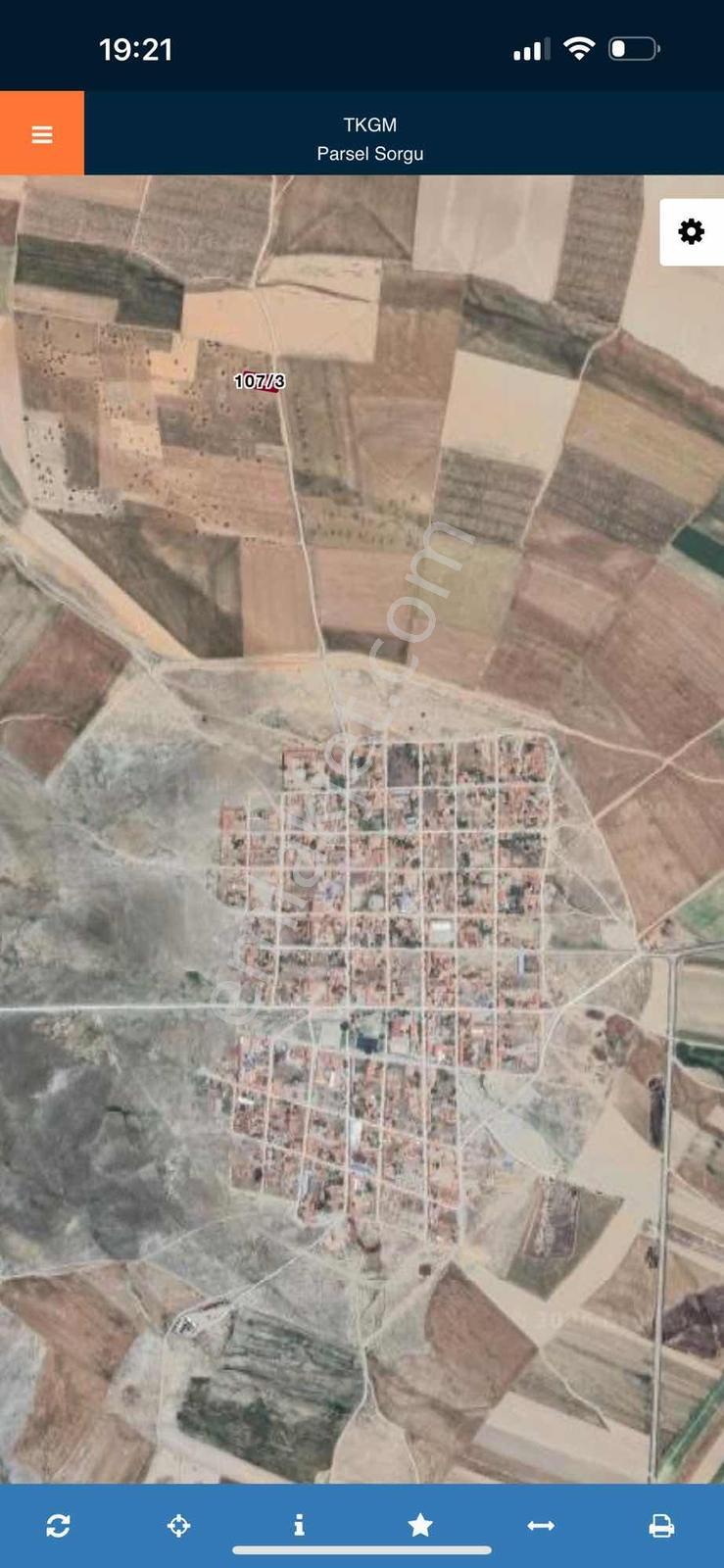 Nisandan Eskişehir Mahmudiye İsmetpaşada Satılık Verimli Bağ - Görsel 3