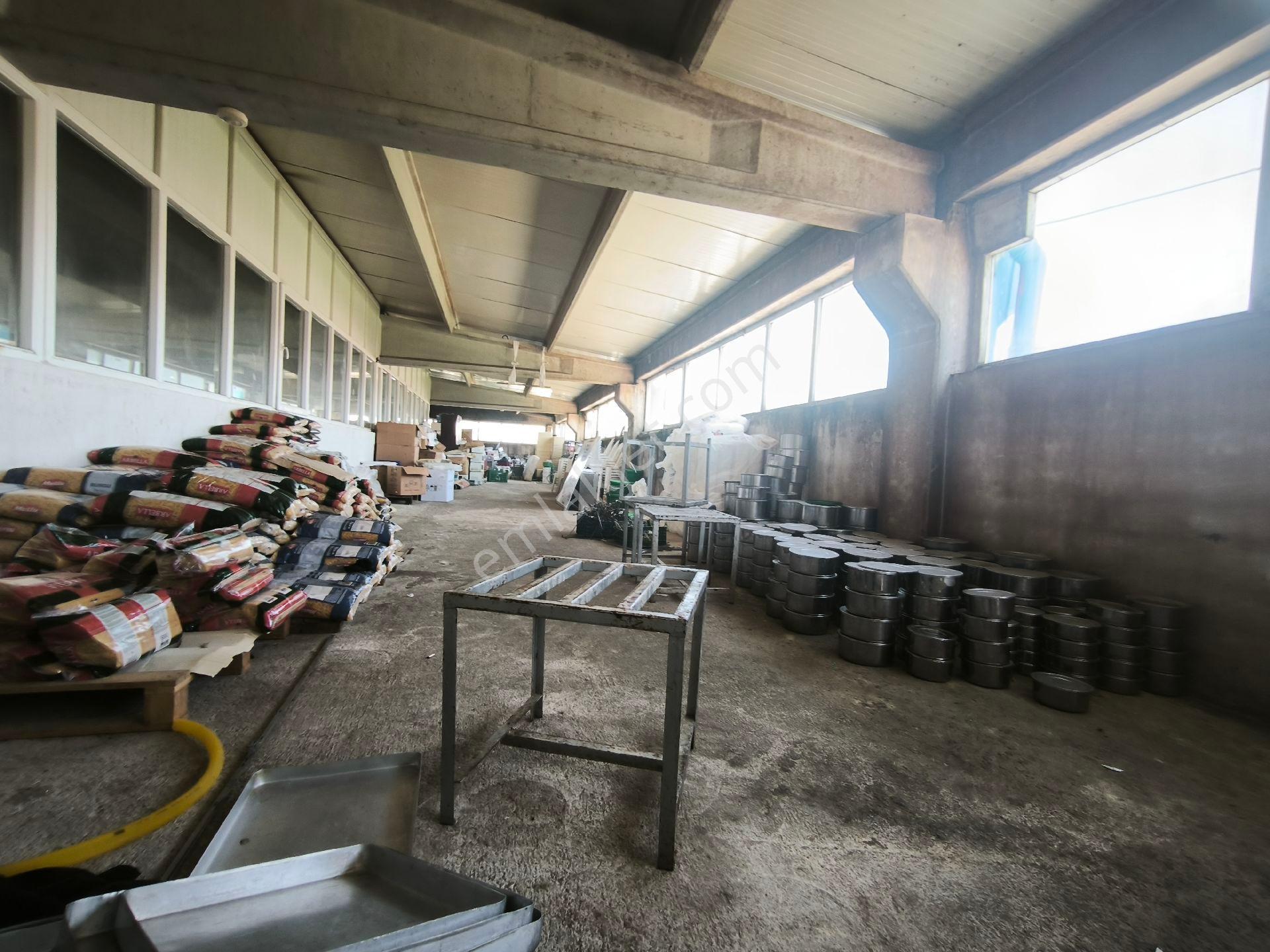 Afyon Organize Sanayi Bölgesi Kiralık Fabrika Binasi Vearsasi - Görsel 29