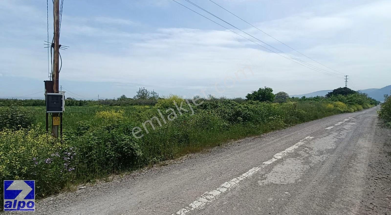 Yalova Taşköprüde Sanayi İmarlı Hisseli Arsa - Görsel 6