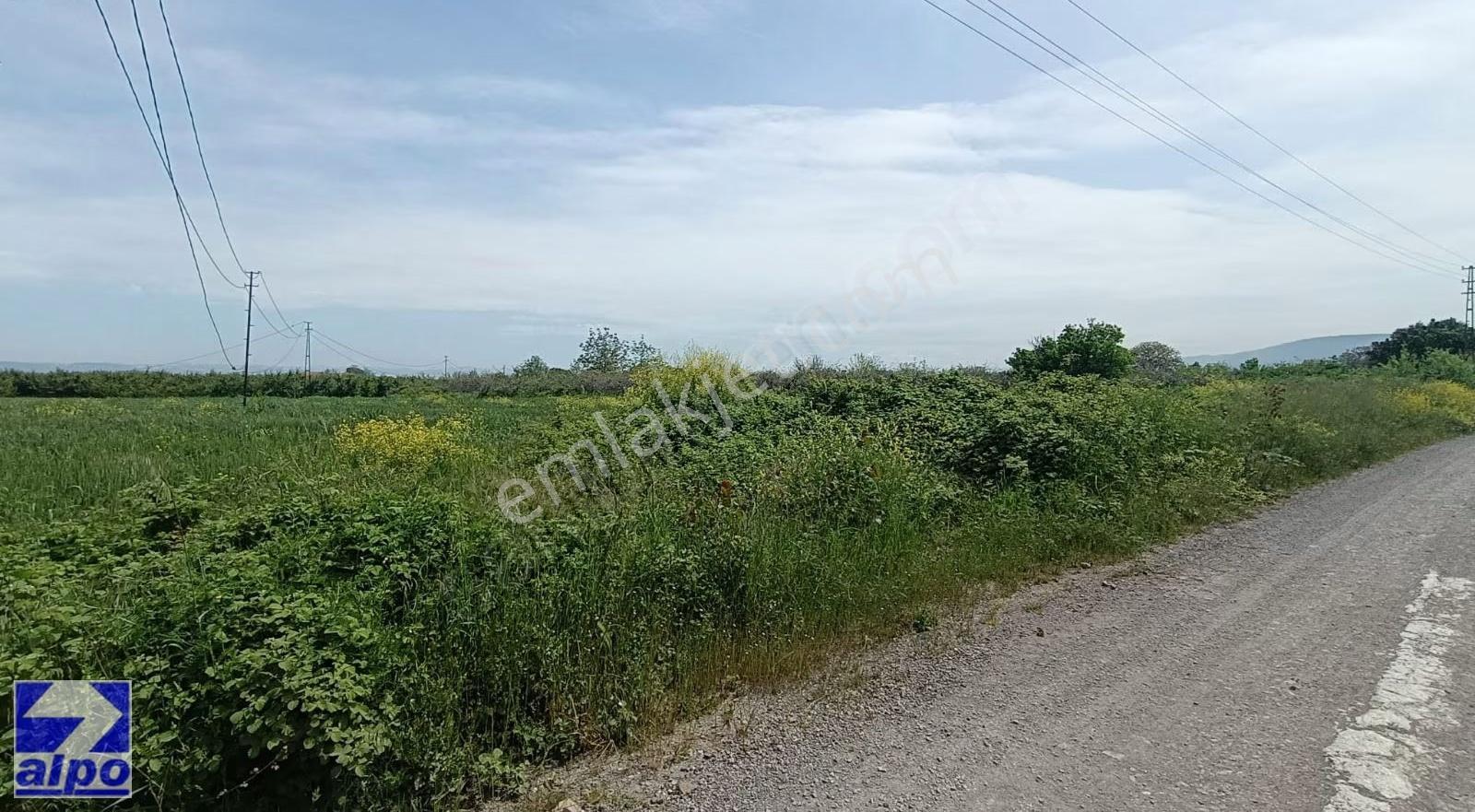 Yalova Taşköprüde Sanayi İmarlı Hisseli Arsa - Görsel 10