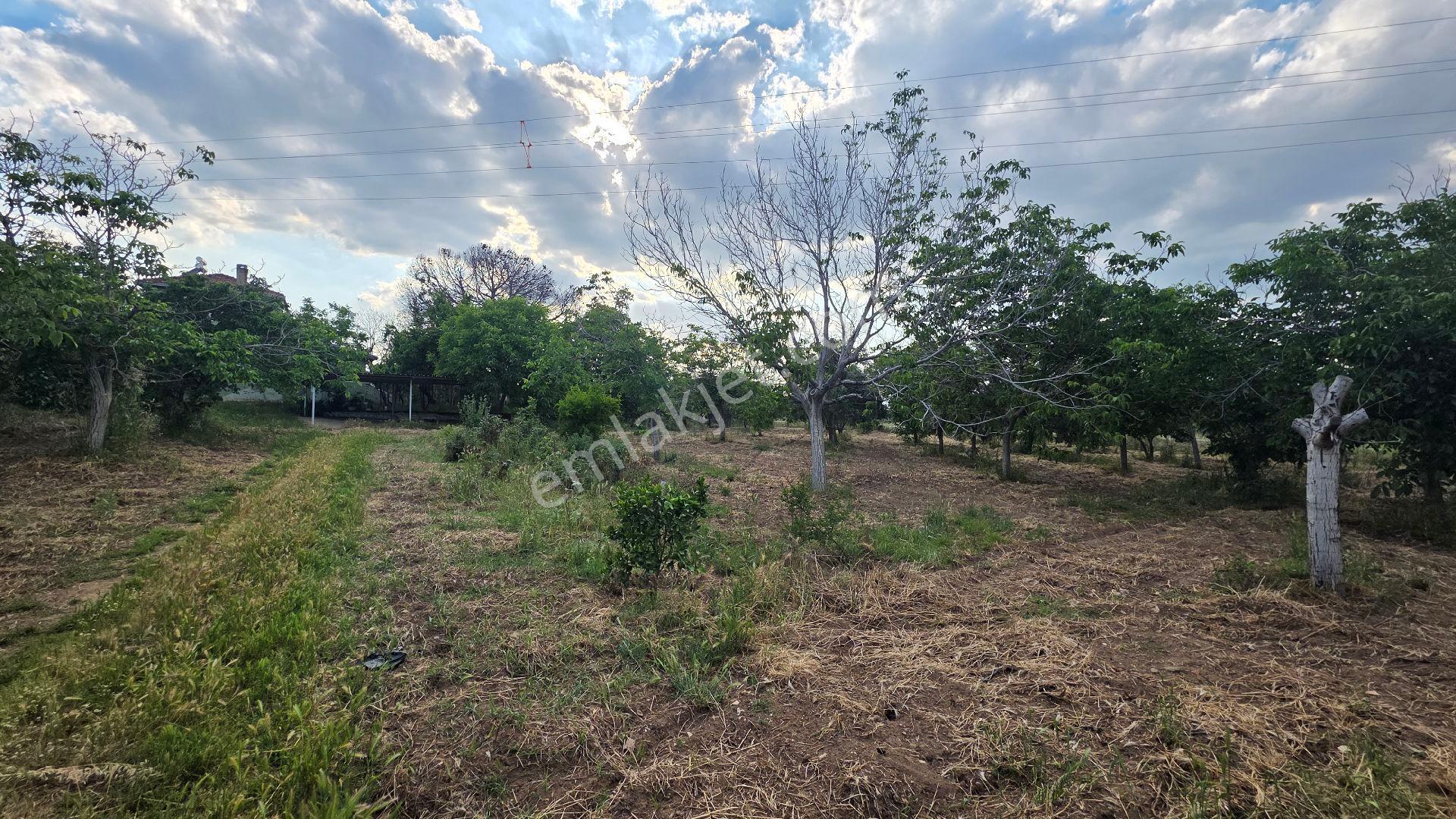 İzmir Tire Sb Emlak'tan Peşreflide Eşsiz Yatırım Fırsatı - Görsel 20