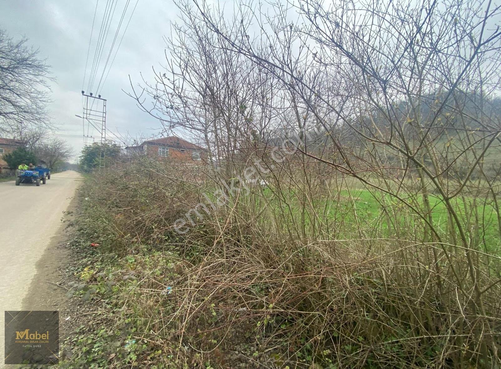 Ordu-fatsa Taşlıca Mah .mesire Alanı Yakını Kiralık 3332 Arsa ?? - Görsel 13