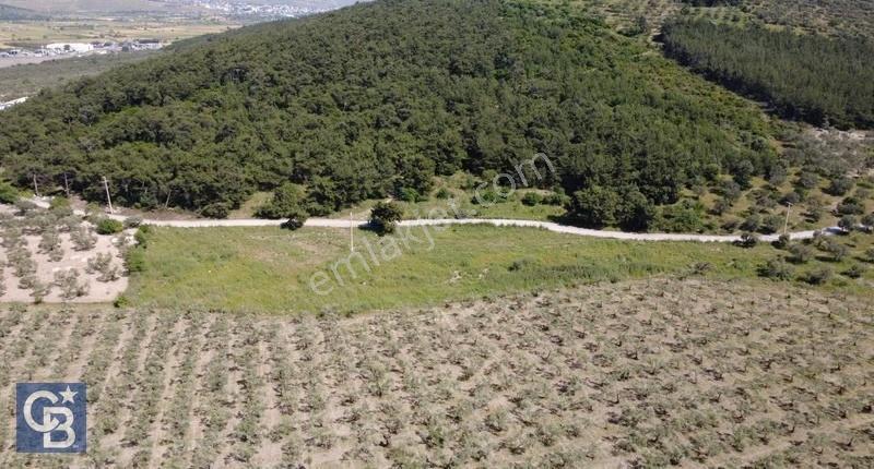 Yola Cephe 7000m2 Tek Tapu Arsa - Görsel 24
