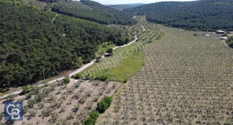Yola Cephe 7000m2 Tek Tapu Arsa - Görsel 4