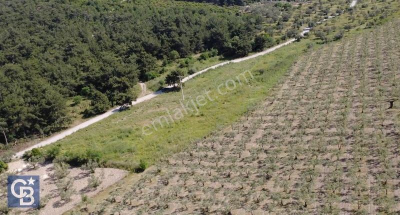 Yola Cephe 7000m2 Tek Tapu Arsa - Görsel 11