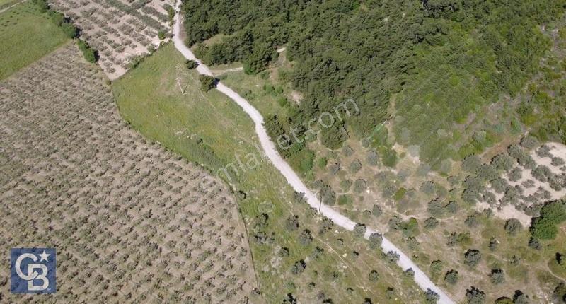 Yola Cephe 7000m2 Tek Tapu Arsa - Görsel 17