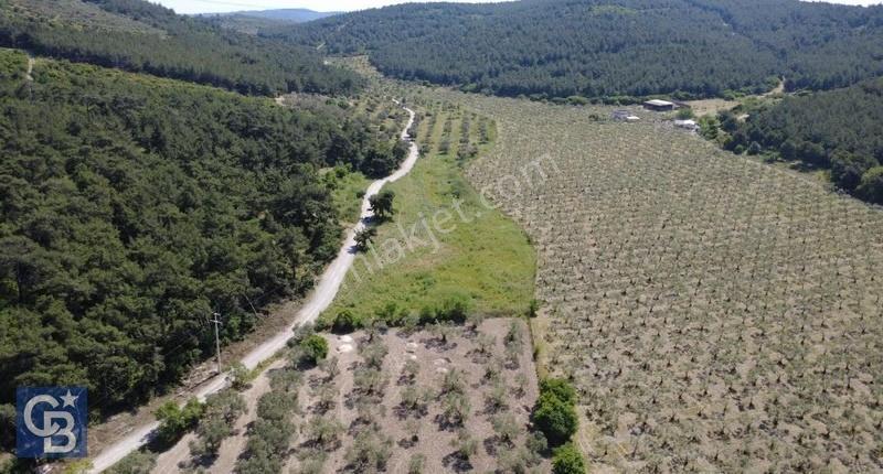 Yola Cephe 7000m2 Tek Tapu Arsa - Görsel 7