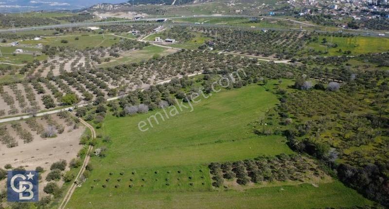 Samurluda 10500m2 Satılık Yolu Olan Tarla - Görsel 16