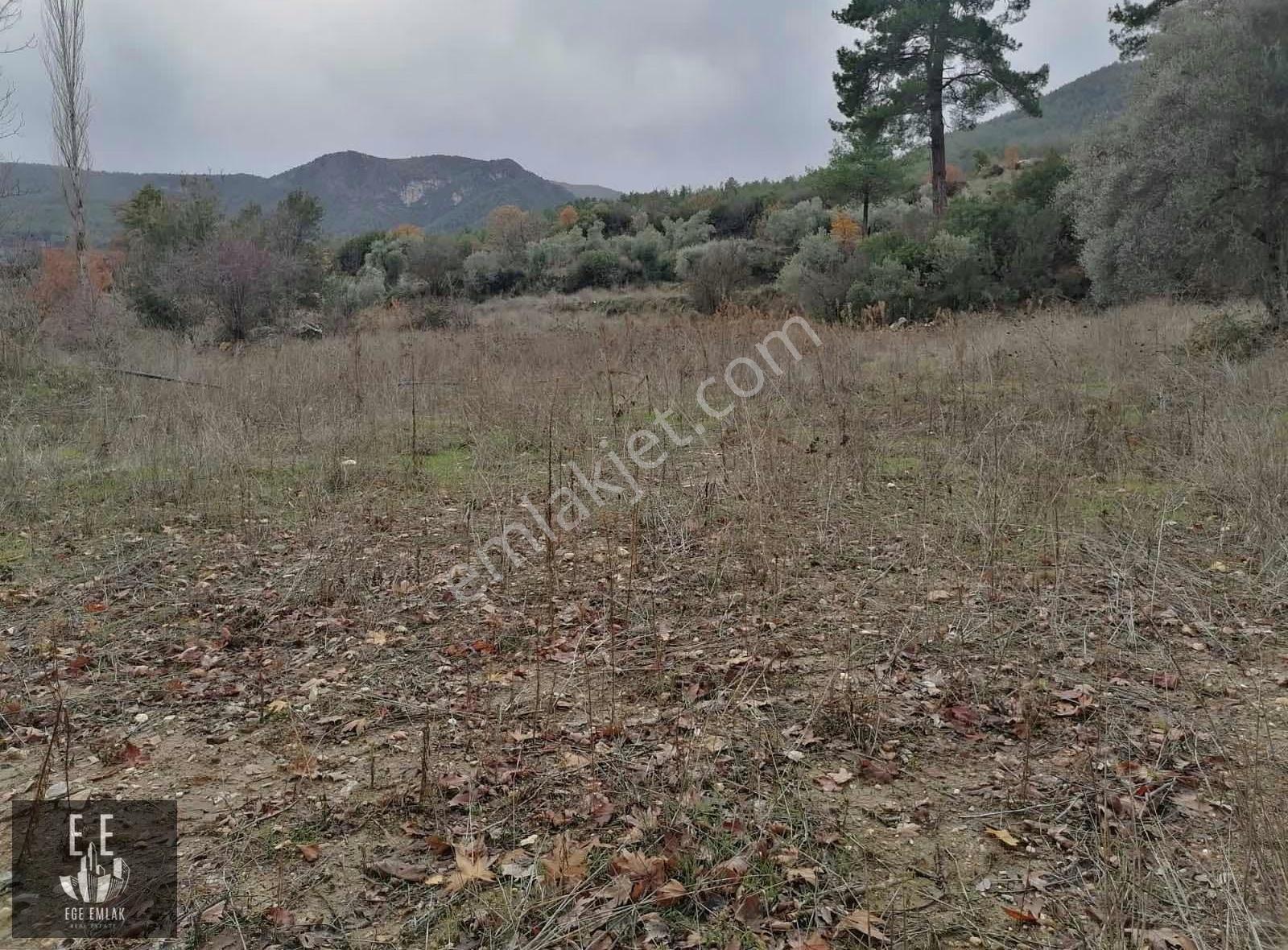 Muğla Menteşe Göktepede Satılık 23400 M2 Tarla - Görsel 5