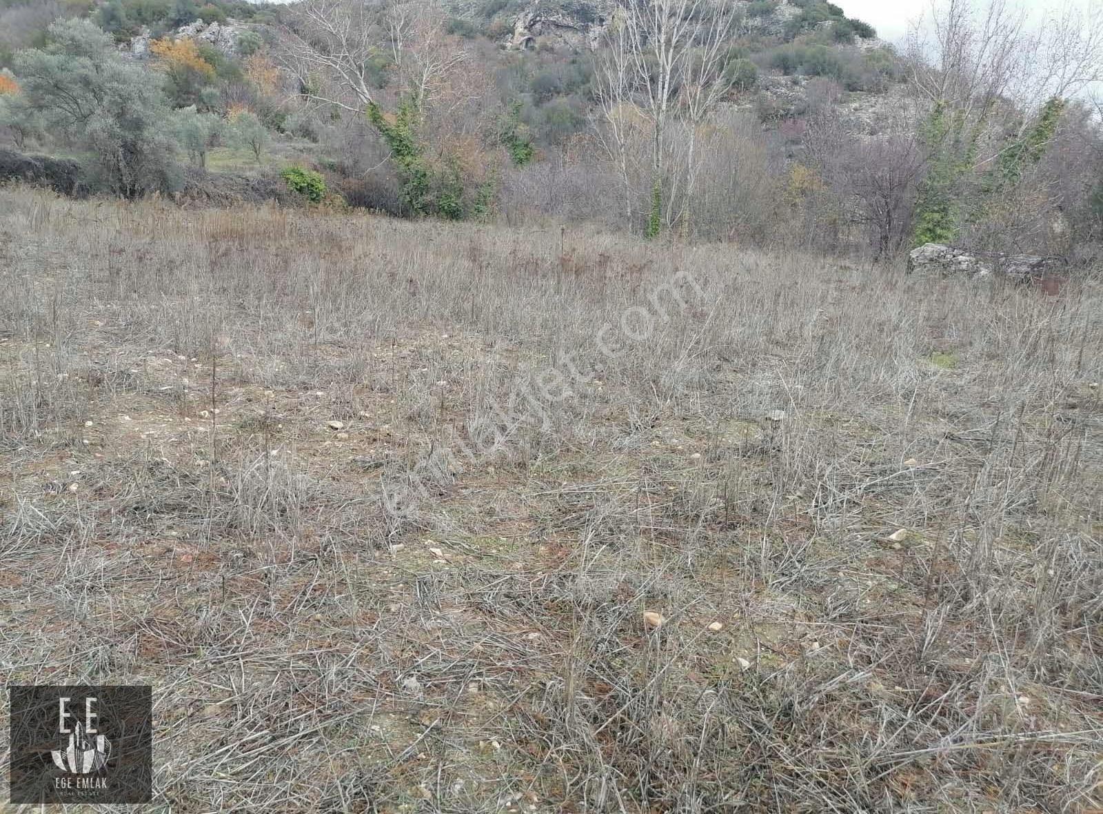 Muğla Menteşe Göktepede Satılık 23400 M2 Tarla - Görsel 2