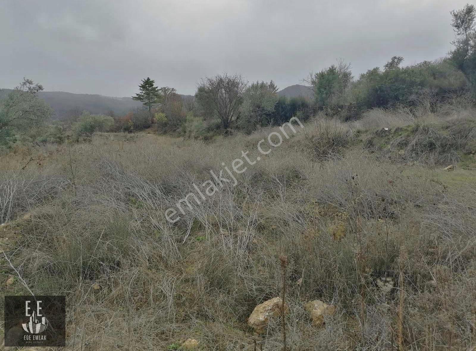 Muğla Menteşe Göktepede Satılık 23400 M2 Tarla - Görsel 11