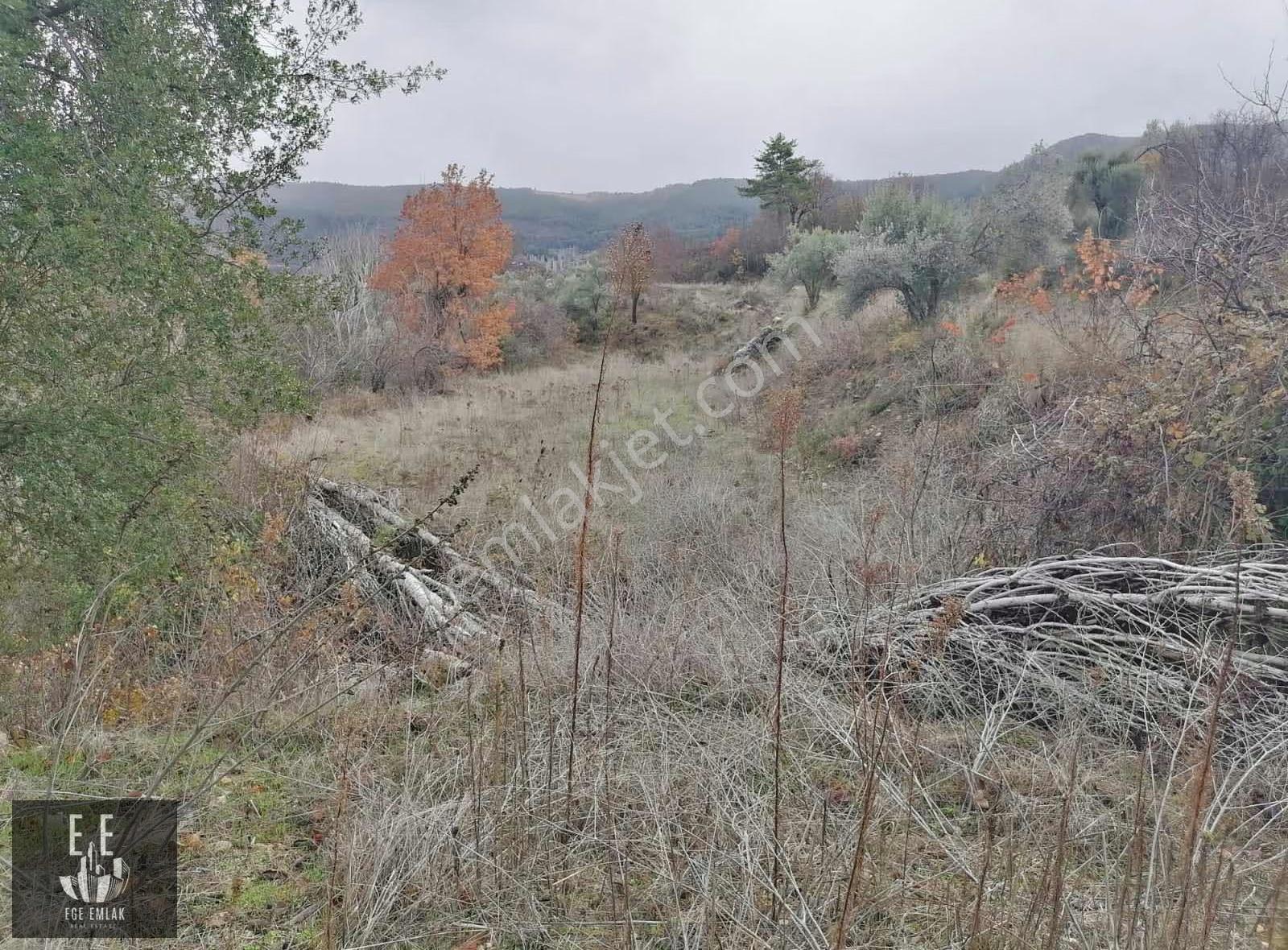 Muğla Menteşe Göktepede Satılık 23400 M2 Tarla - Görsel 14