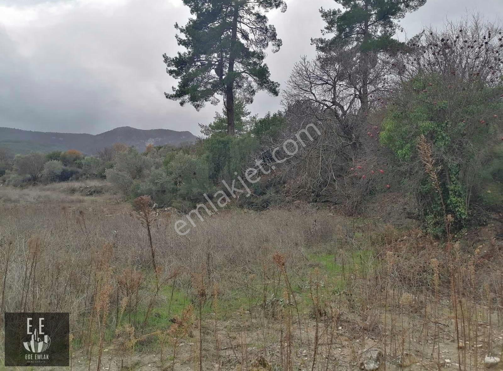 Muğla Menteşe Göktepede Satılık 23400 M2 Tarla - Görsel 3
