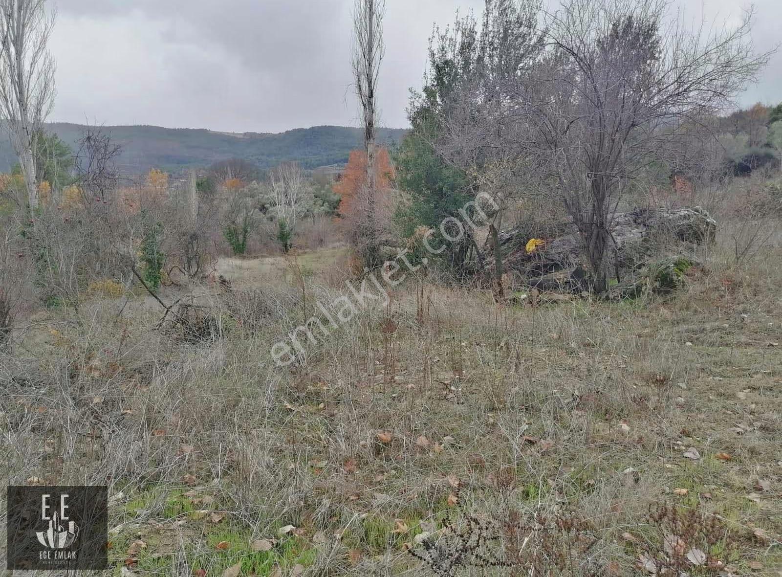 Muğla Menteşe Göktepede Satılık 23400 M2 Tarla - Görsel 10