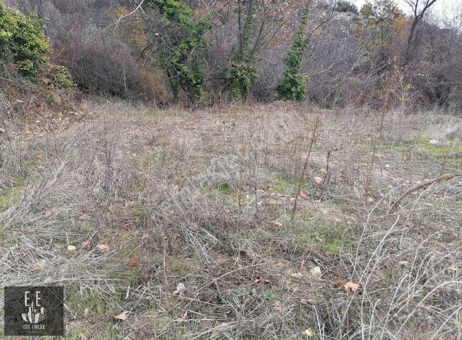 Muğla Menteşe Göktepede Satılık 23400 M2 Tarla - Görsel 6