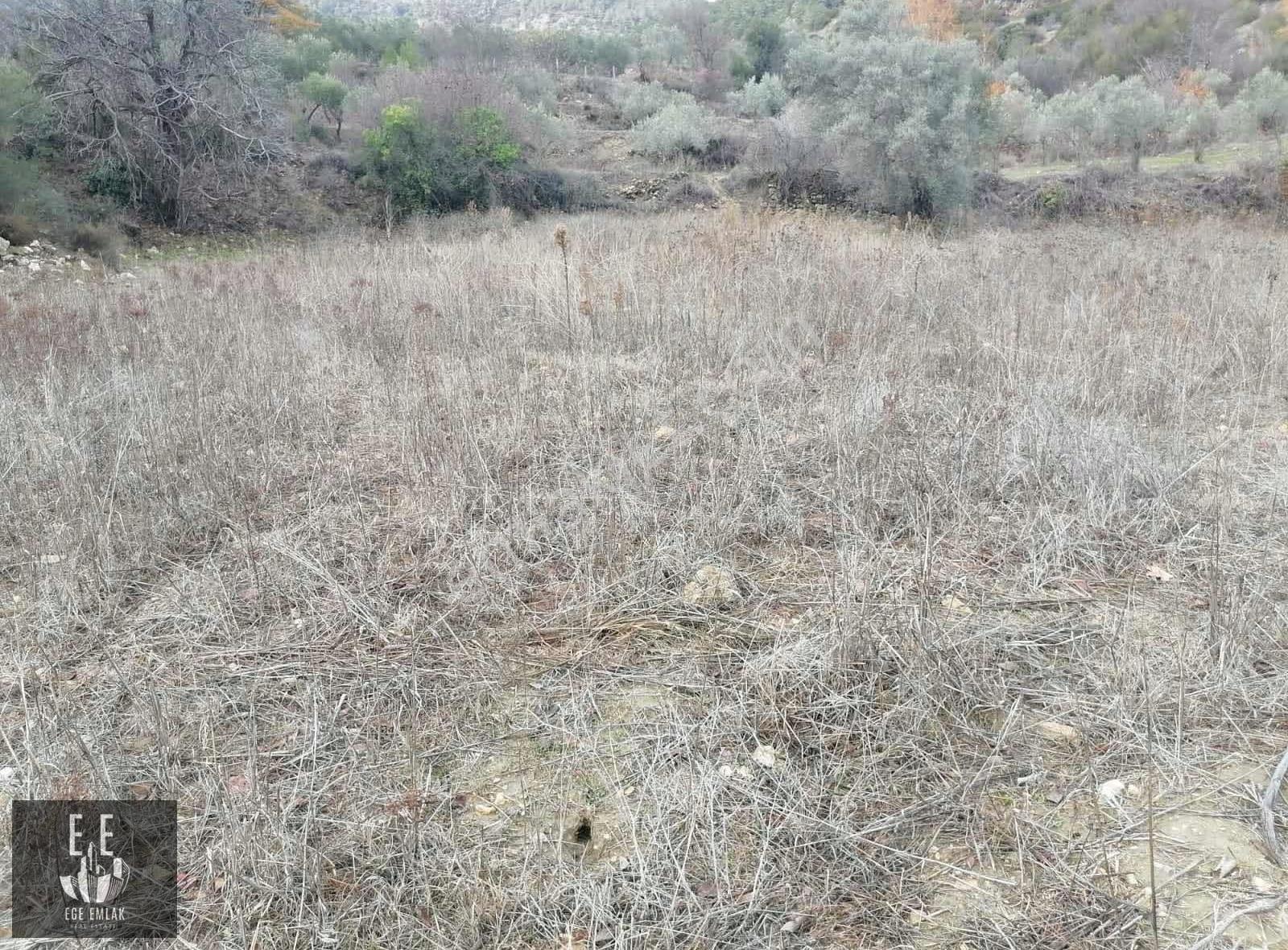 Muğla Menteşe Göktepede Satılık 23400 M2 Tarla - Görsel 12