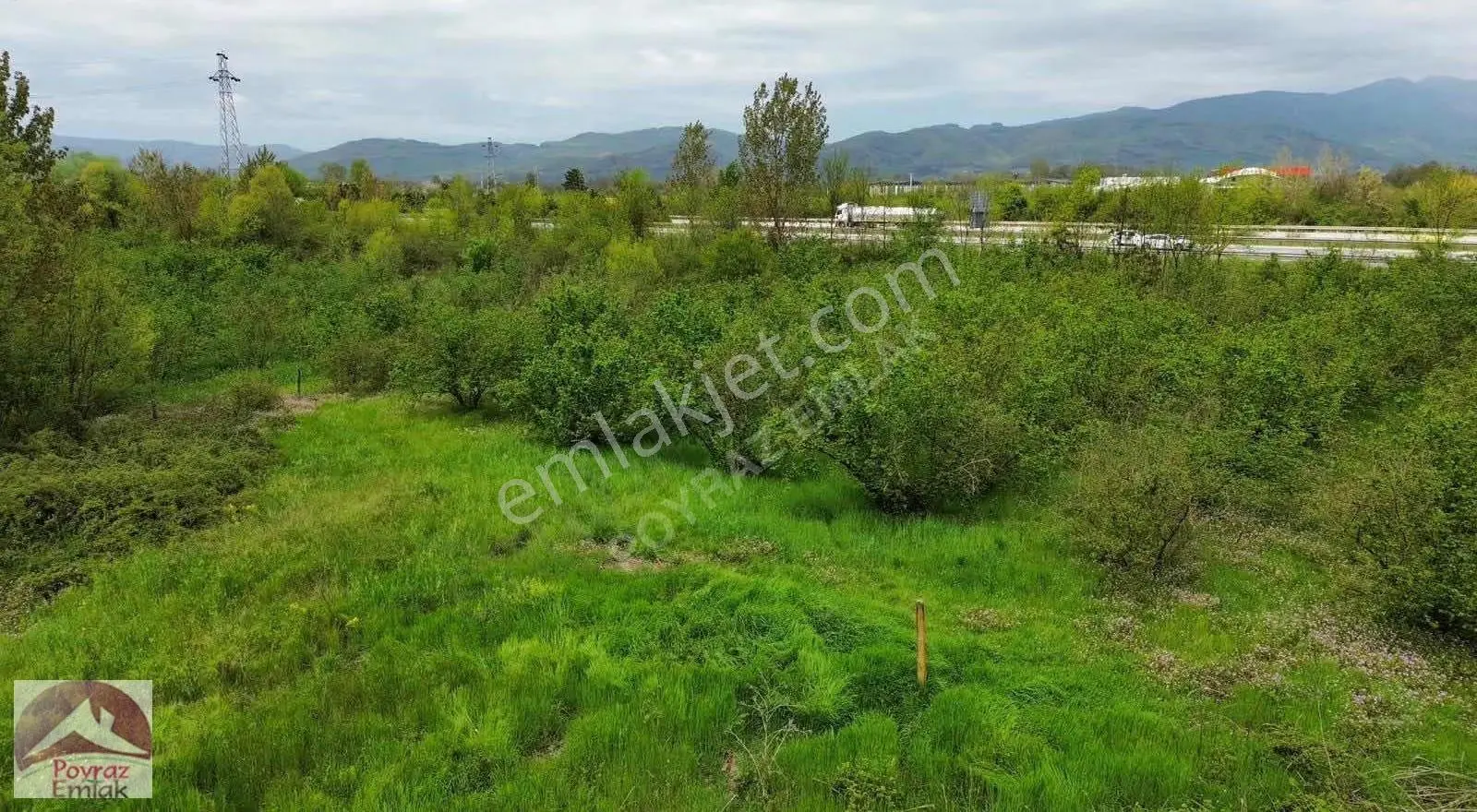 Yayakbaşında Satılık 1.775m2 Satılık Fındık Bahçesi - Görsel 2