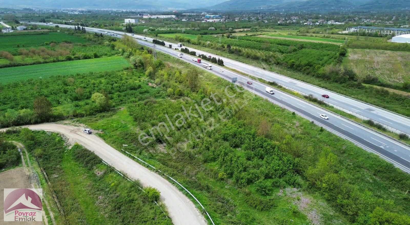 Yayakbaşında Satılık 1.775m2 Satılık Fındık Bahçesi - Görsel 4