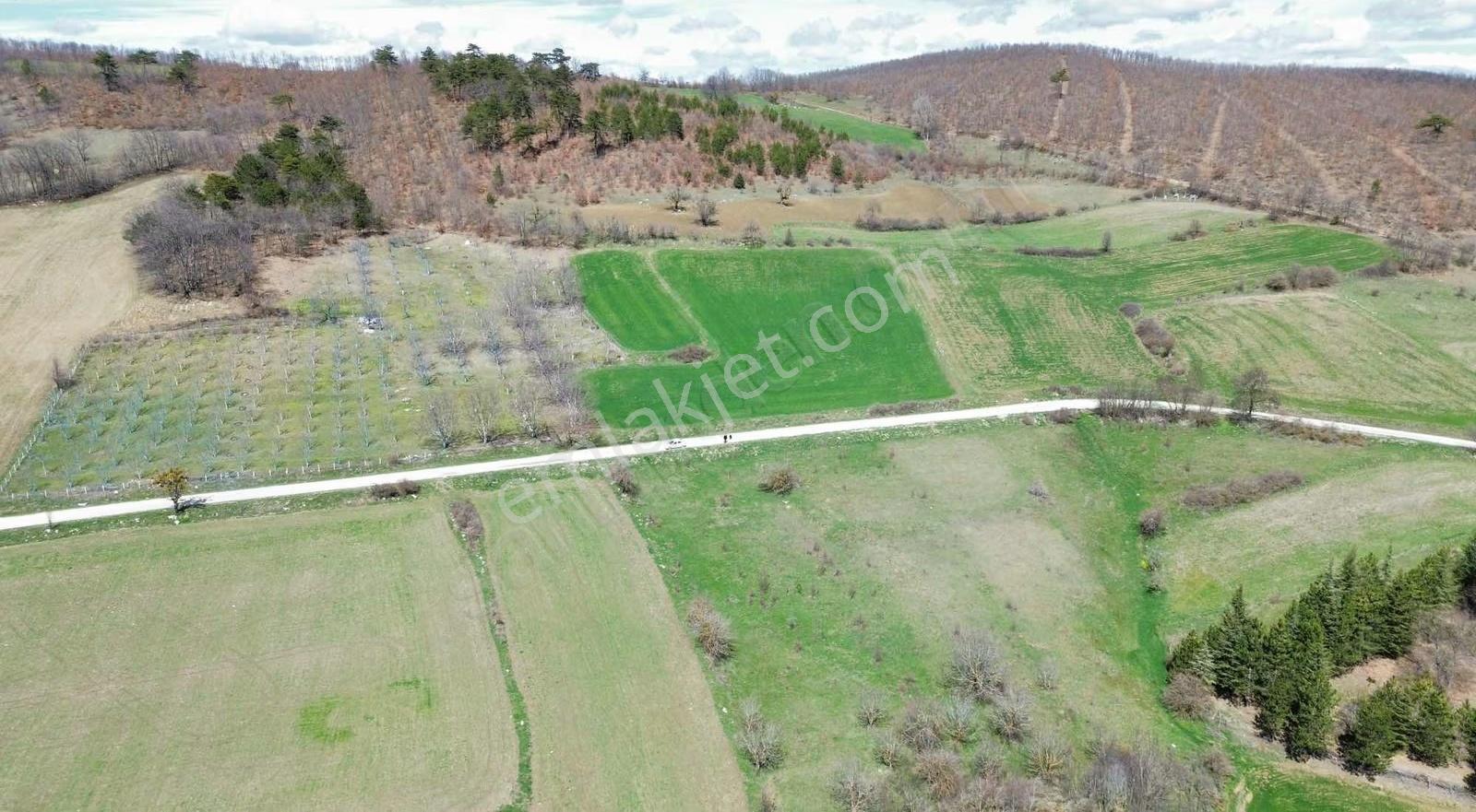 Mecitözü Fakıahmet Köyünde 3771 M2 İmarlı Arazi - Görsel 2