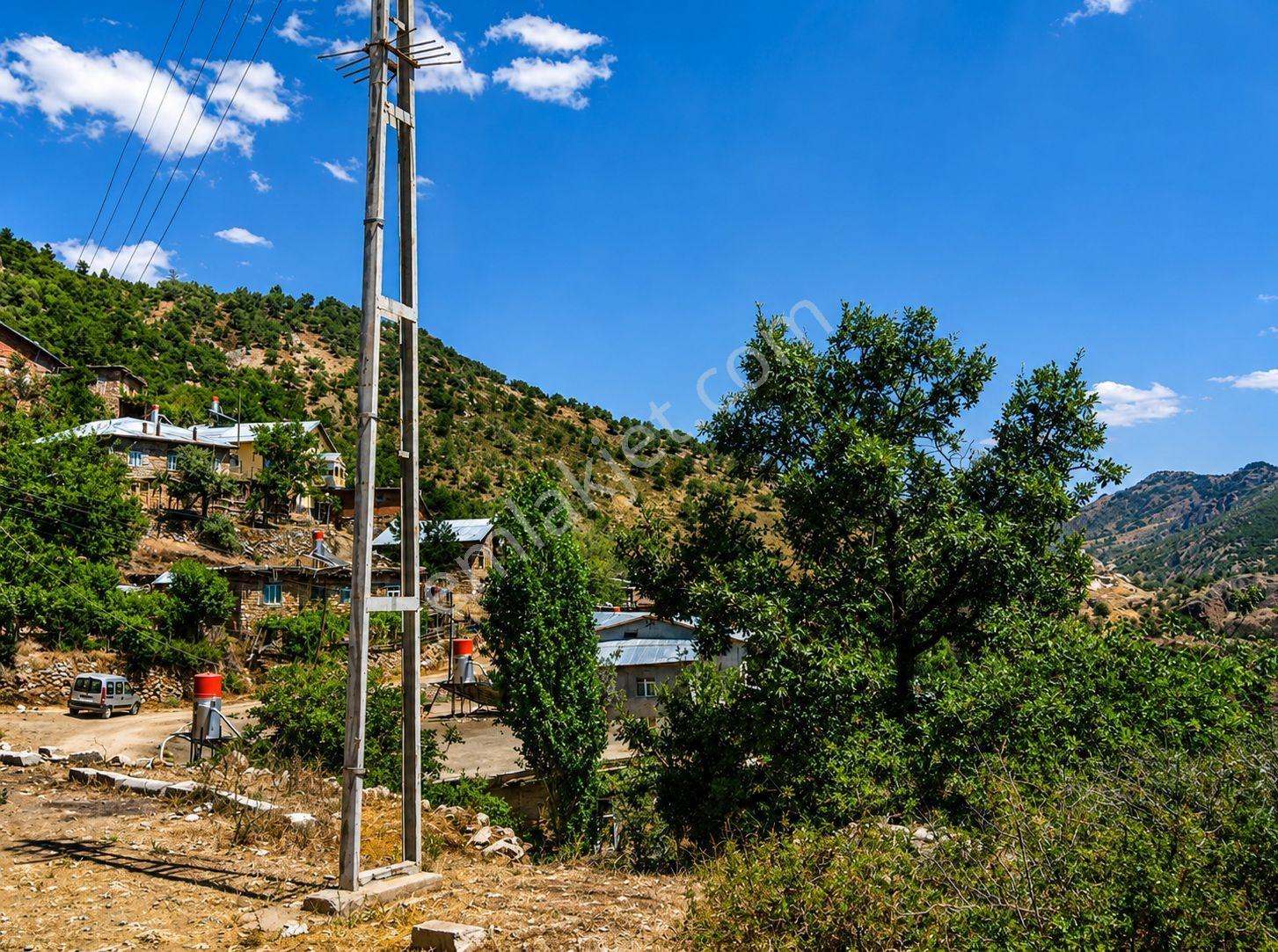 Köy İçinde 6.5 Dönüm Arazi Çoook Hesaplı - Görsel 3