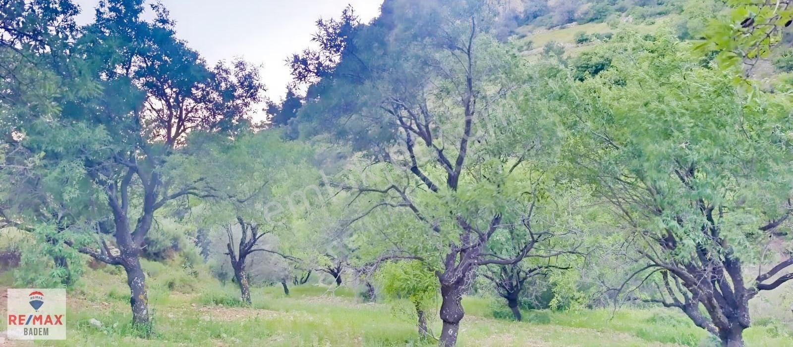 Datça Satılık Arazi | Kadastral Yolu Var | Ana Yola Yakın - Görsel 5