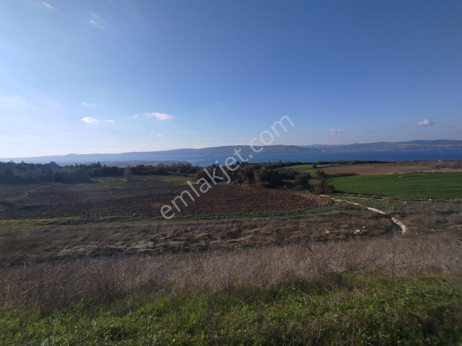 Suluca'da Çanakkale Boğazı Ve Çanakkale Köprü Manzaralı Arazi - Görsel 5