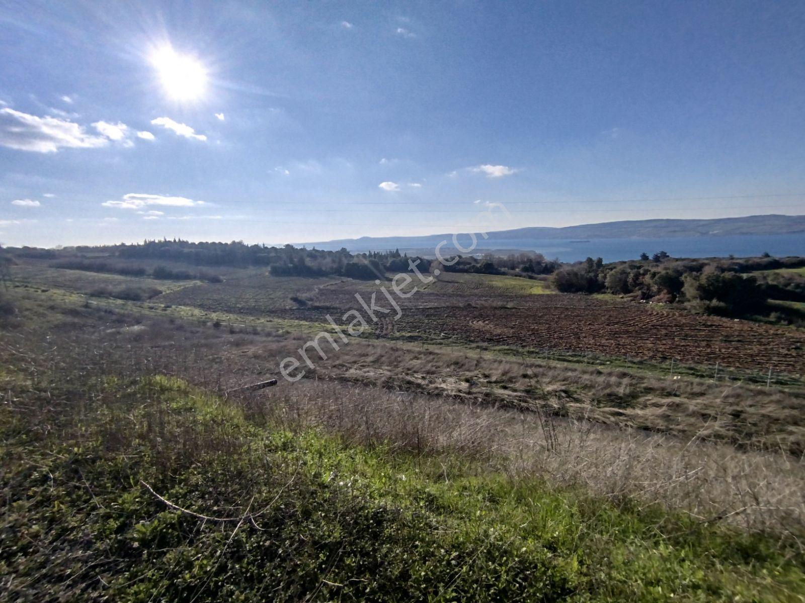Suluca'da Çanakkale Boğazı Ve Çanakkale Köprü Manzaralı Arazi
