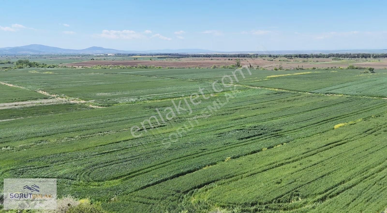 Keşan İzzetiye'de 1.400 M² Yatırımlık Tarla - Görsel 5
