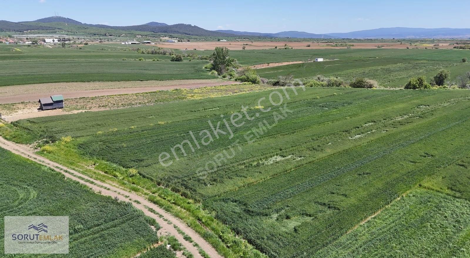 Keşan İzzetiye'de 1.400 M² Yatırımlık Tarla - Görsel 20