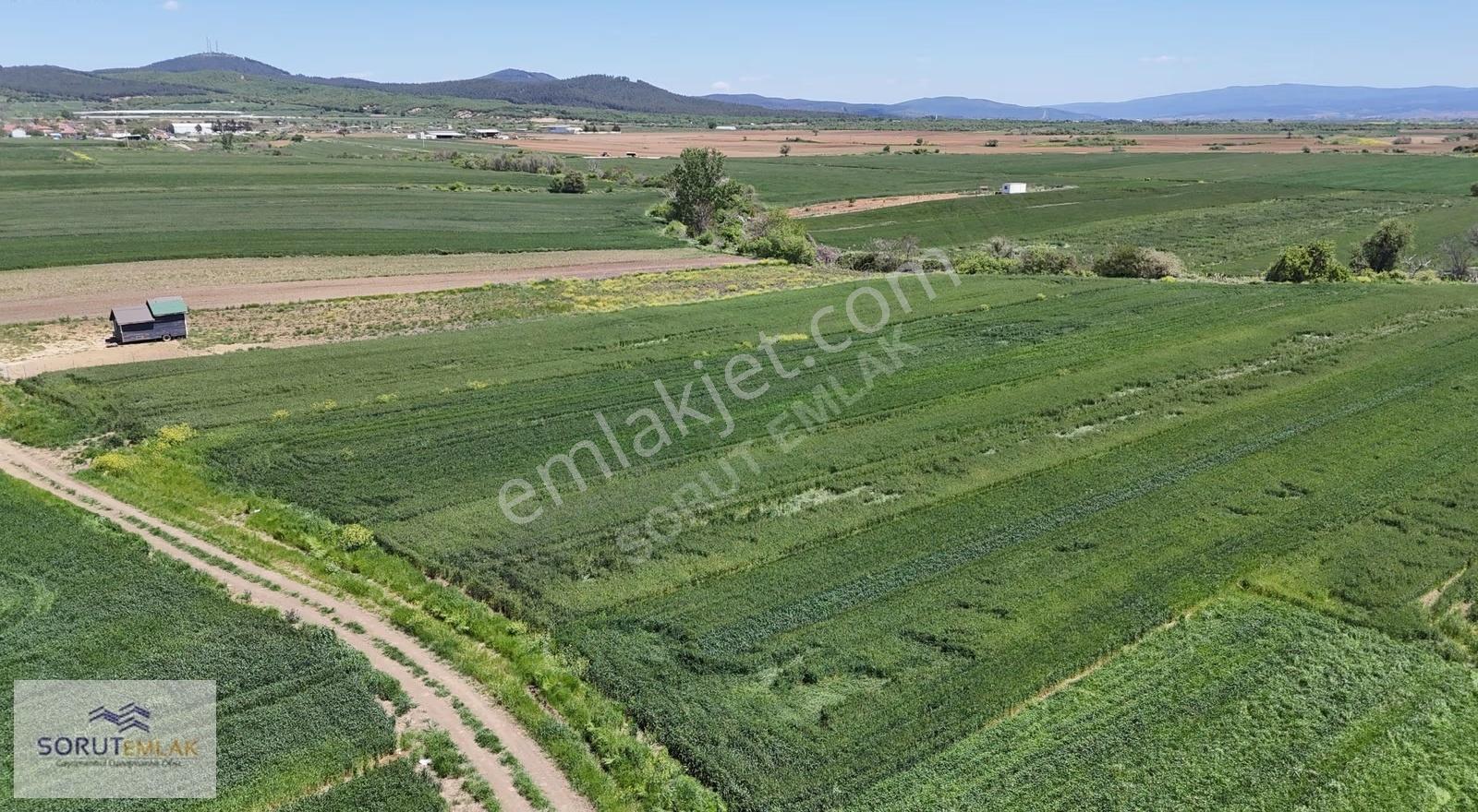 Keşan İzzetiye'de 1.400 M² Yatırımlık Tarla - Görsel 6