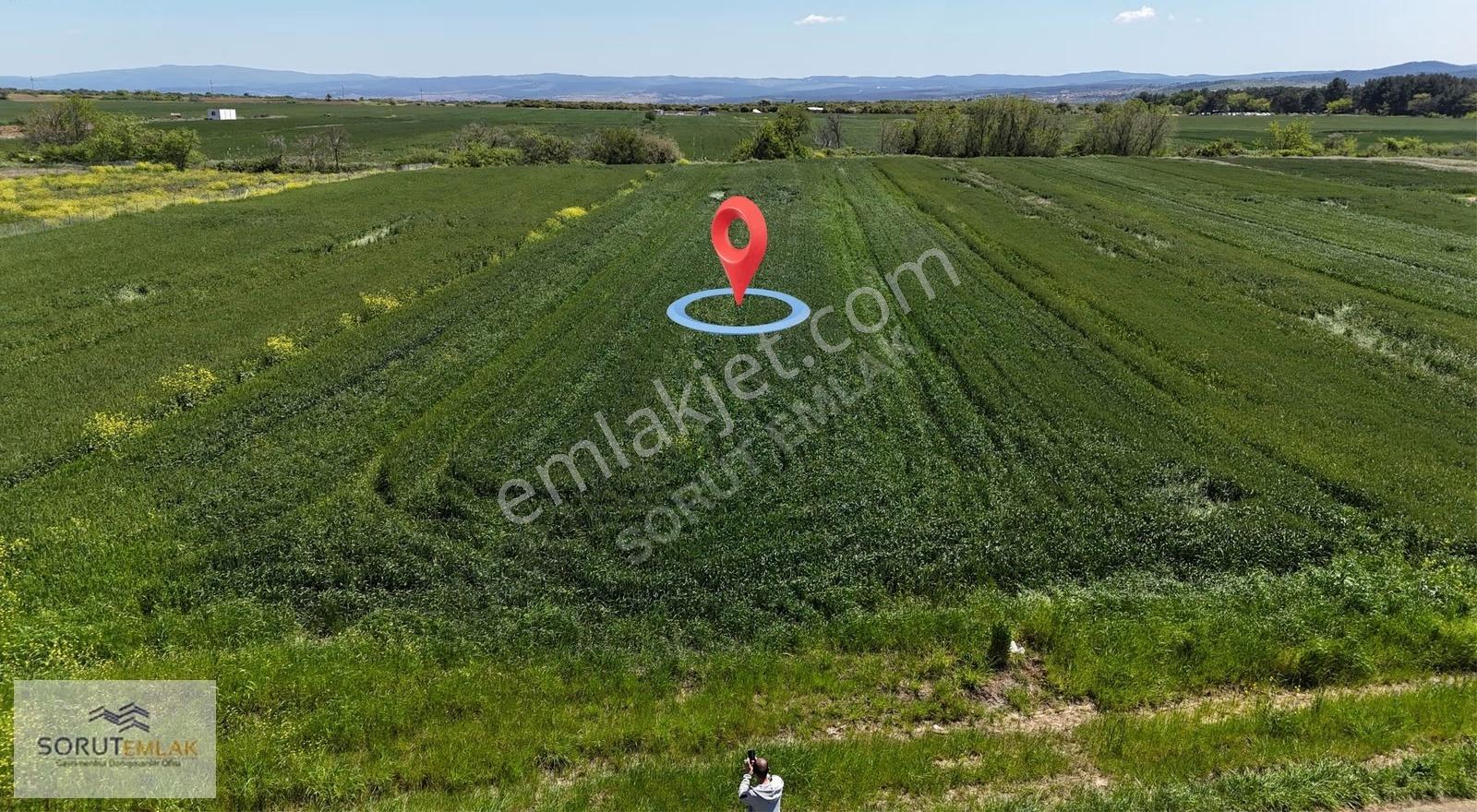 Keşan İzzetiye'de 1.400 M² Yatırımlık Tarla