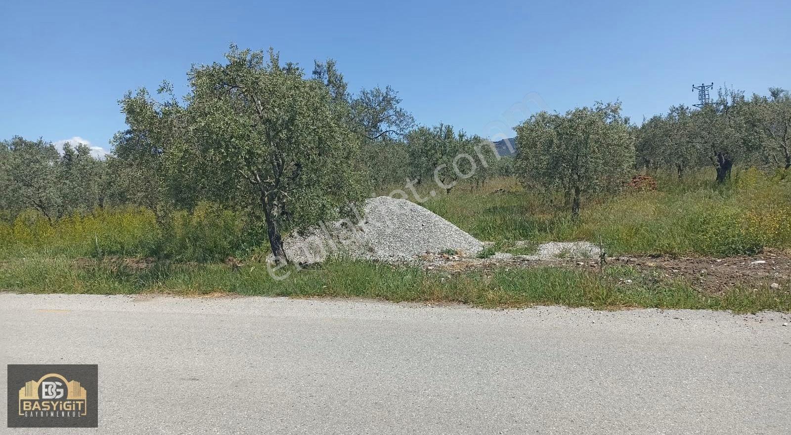 Musalar Mh.de Balıkesir Yoluna 700 M. Asfalt Yol Üzeri 4100m² - Görsel 17