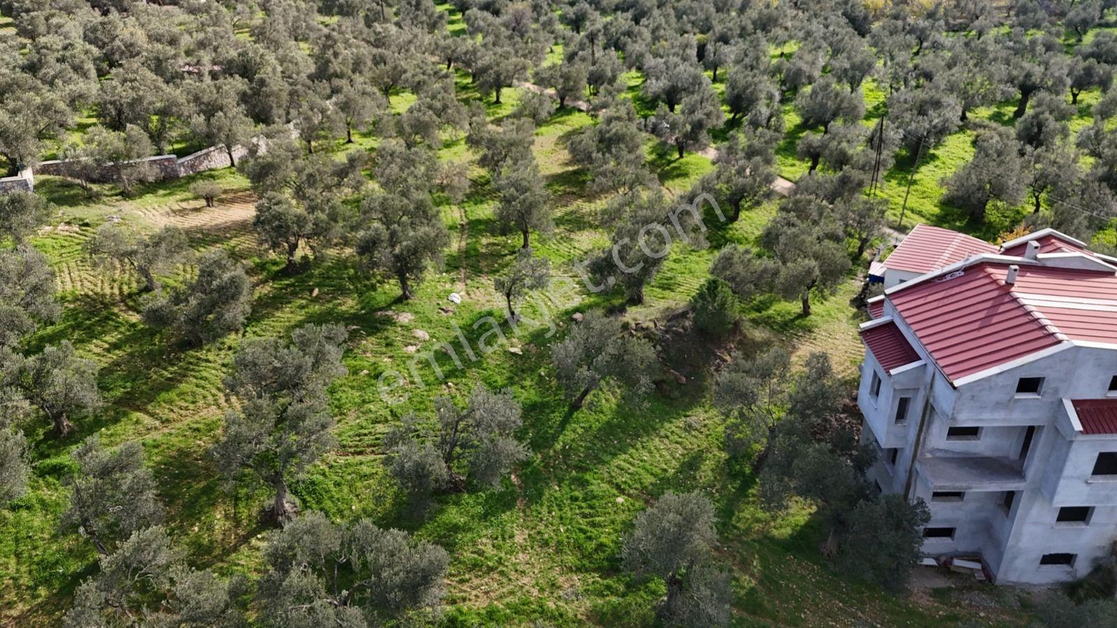 Golden Globy, Taylıeli'nde Satılık 7+1 Villa Ve 7 Dönüm Arazi - Görsel 27